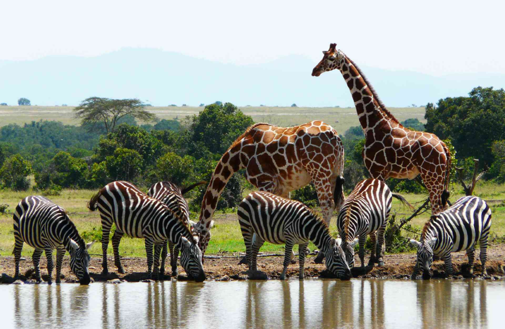 Cheap Countries to Travel to from Nigeria