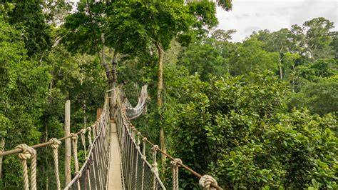 Fun Things to Do in Ghana
